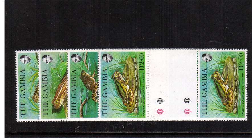 Frogs set of four in superb unmounted mint gutter pairs
