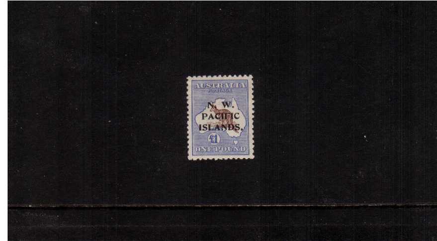 1 Chocolate and Dull Blue overprinted ''N.W. PACIFIC ISLANDS.'' in fine very lightly mounted mint condition. Rare stamp! 
<br/><b>ZKM</b>