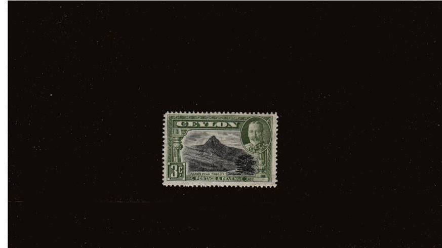 3c Black and Olive-Green - Perforation 14<br/>
A superb unmounted mint single. Stunning.

<br/><b>QKQ</b>