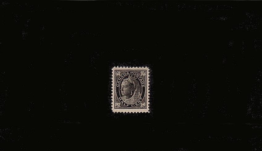 c Black ''Maple Leaf'' Issue<br/>
A superb unmounted mint single.<br/>Perfect centering!
<br/><b>XQX</b>