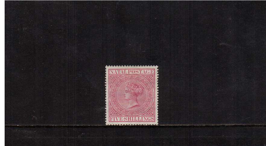 5/- Rose. A superb lightly mounted mint stamp.<br/><br/>
<b>NYQ11</b>