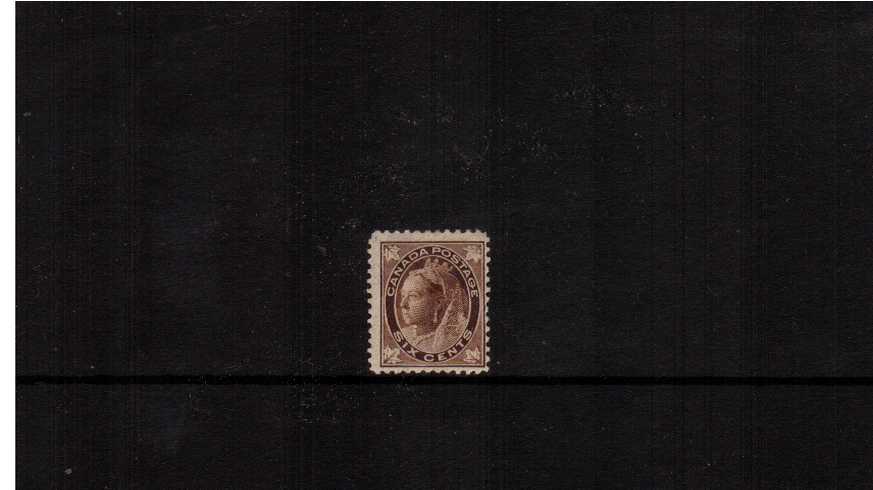 6c Brown ''Maple Leaf'' Issue<br/>
A good mounted mint single.<br/><b>XQX</b>