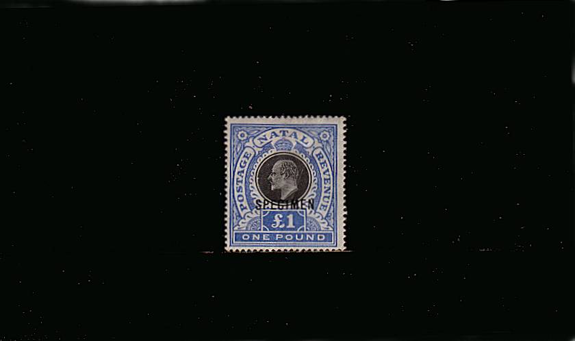 1 Black and Bright Blue overprinted ''SPECIMEN''.<br/>
A lightly mounted mint single with a natural diagonal gum crease not really visible from front.<br/>Fresh stamp.
<br/><b>QVQ</b>