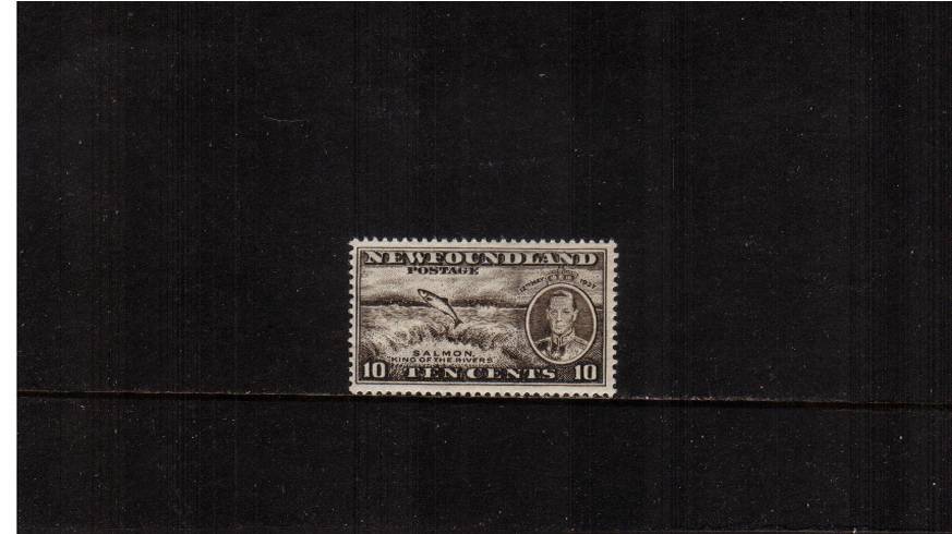 10c Blackish Brown - Perf 13 Line - from the additional Coronation issue<br/>A superb unmounted mint single. SG Cat 9<br/><b>QYQ</b>