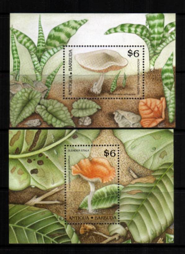 Funghi - Mushrooms<br/>
A pair of minisheets superb unmounted mint