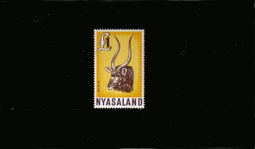The 1 Nyala antelope single superb unmounted mint.<br/>The ''key'' stamp to the set. 
<br/><b>QCX</b>