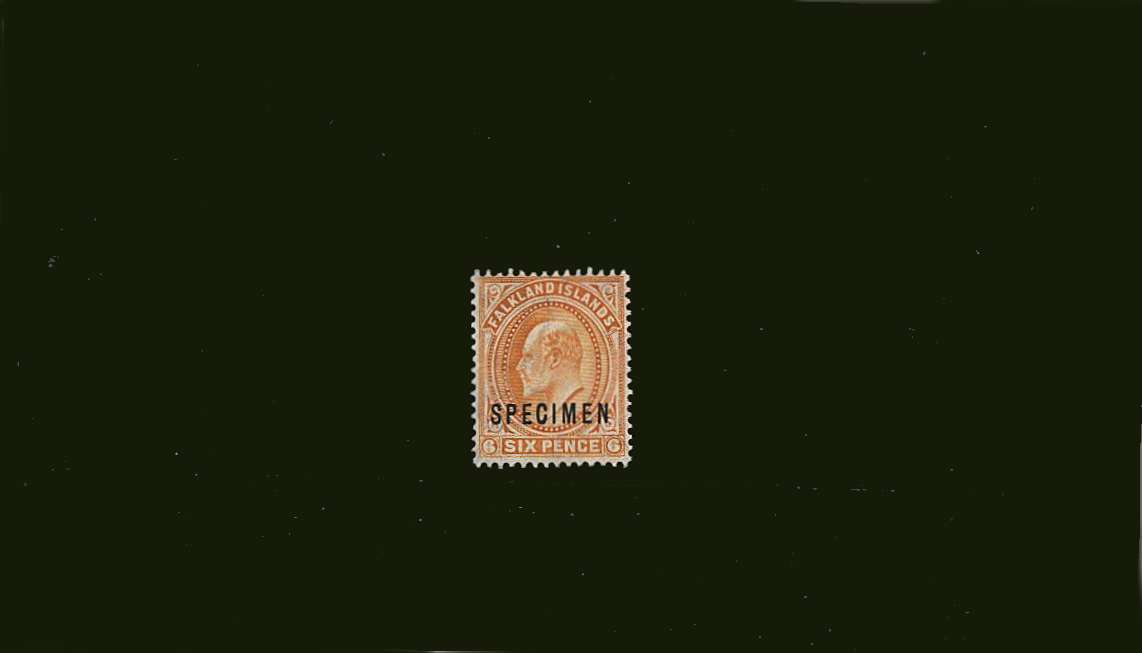 6d Orange<br/>
A fine lightly mounted mint single overprinted ''SPECIMEN'' 
<br><b>BBJ</b>