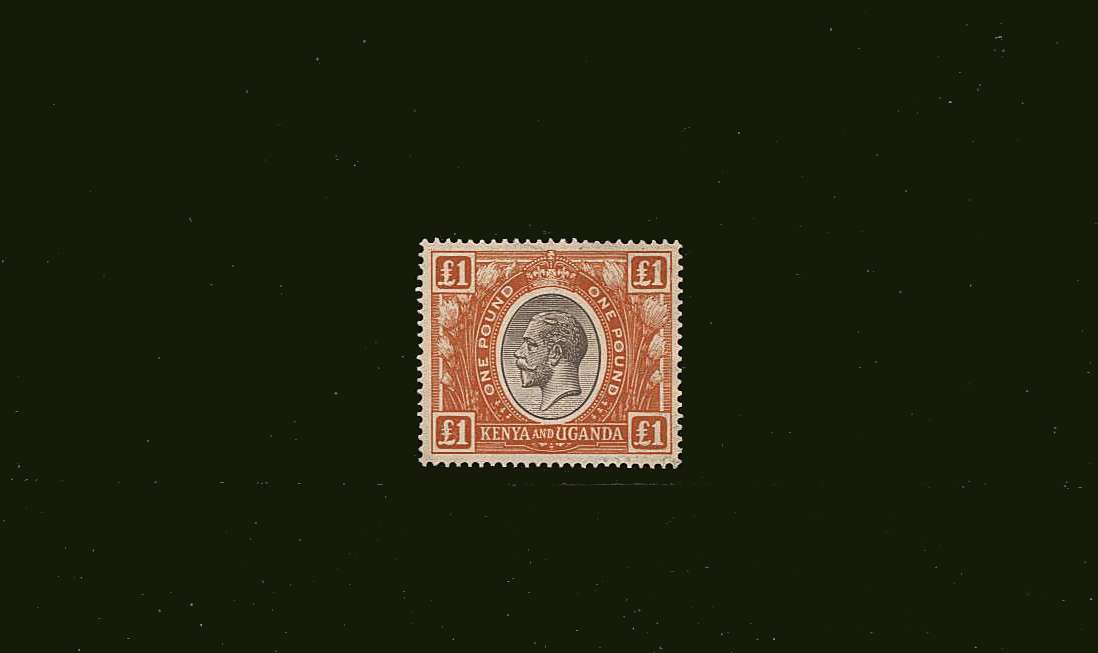 £1 Black and Orange<br/>
A superb unmounted mint single. Pretty!
<br/><b>BBJ</b>