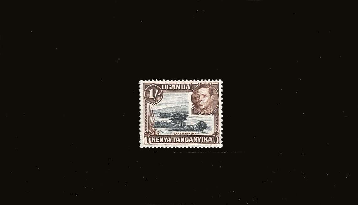 1/- Black and Brown definitive single - Perforation 13x11¾.<br/>
A superb unmounted mint single.