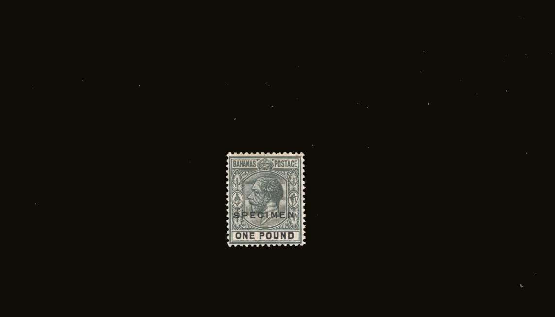 £1 Green and Black - Watermark Multiple Script<br/>
A fine very, very lightly mounted stamp overprinted ''SPECIMEN''.<br/>The top value to the set. Pretty!